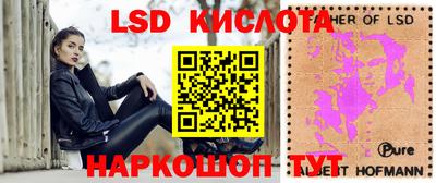 спиды Камышлов