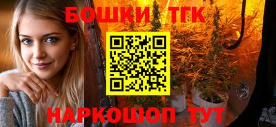 спиды Камышлов