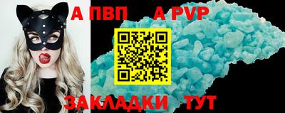 спиды Камышлов