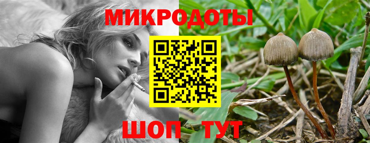 Галлюциногенные грибы мицелий  Вход с VPN  Куйбышев  Галлюциногенные грибы мицелий 
